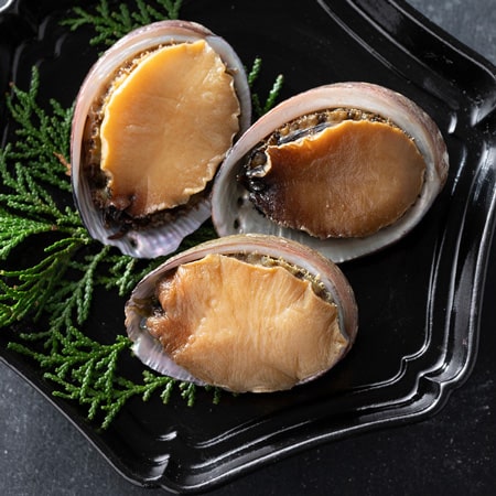 活とこぶし 1kg 1個18-35g【バーベキューや煮付けの定番】